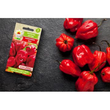 Toraf Nasiona Papryka Ostra Habanero Red 0,2g