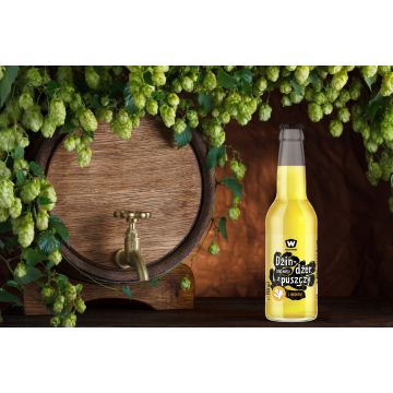 Waszczukowe Lemoniada Dżindżer 330ml